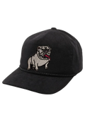 UGA Dawg