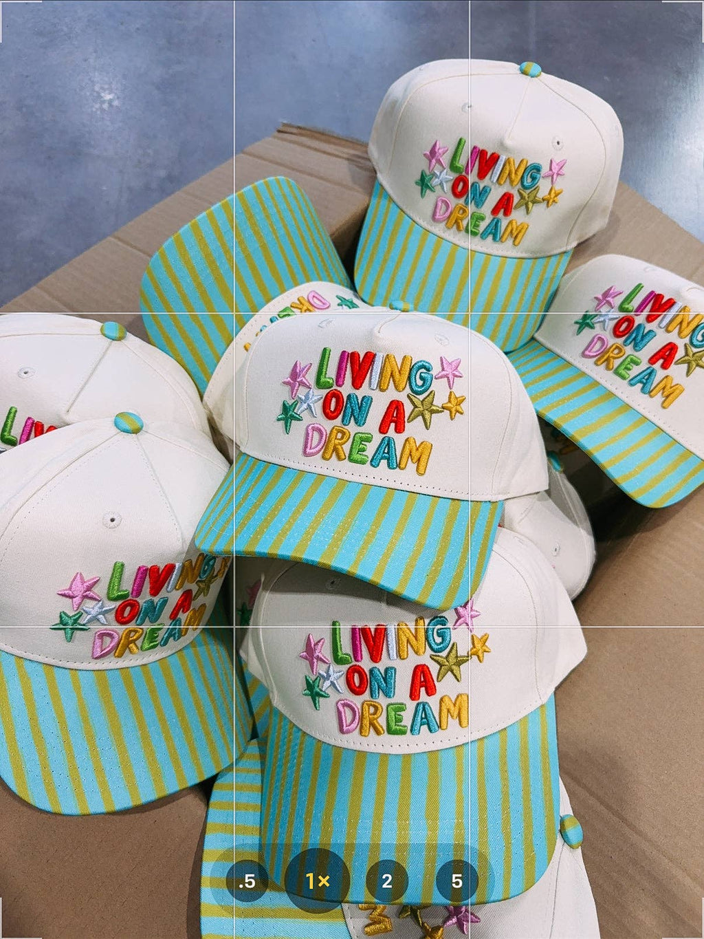 Livin' on a Dream Hat