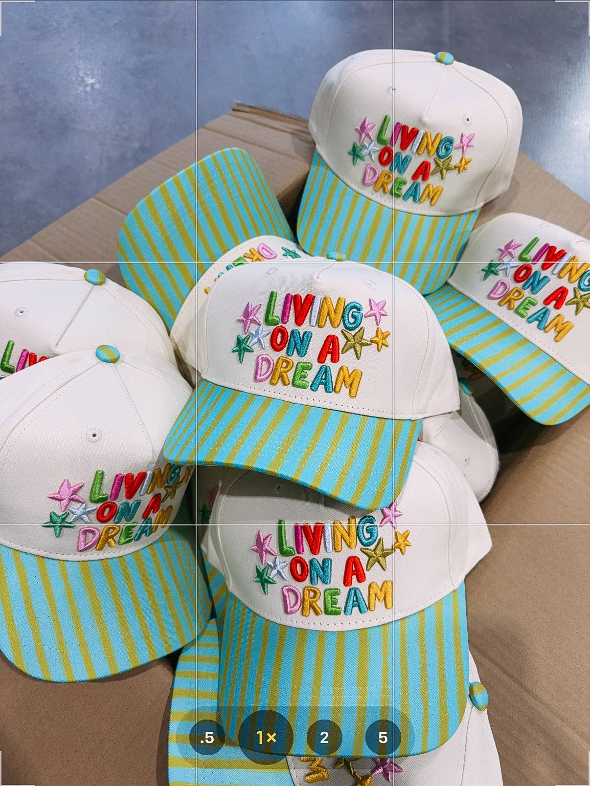 Livin' on a Dream Hat